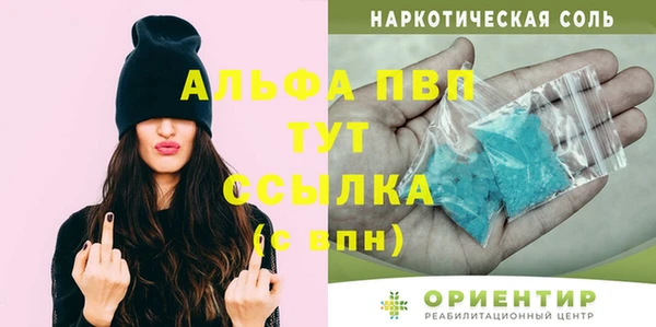 стаф Магас