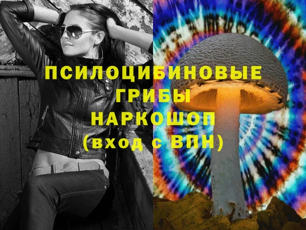 стаф Магас