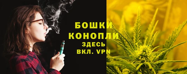 стафф Майский