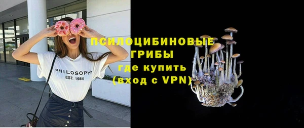 стаф Магас