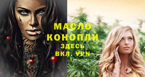 стаф Магас