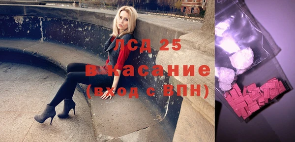стаф Магас
