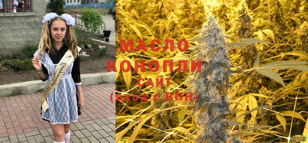 стаф Магас