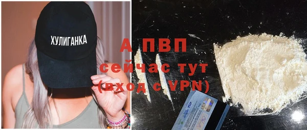 стаф Магас