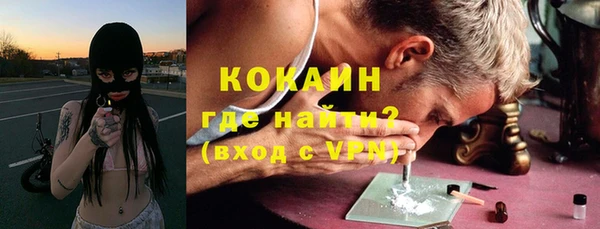 стаф Магас